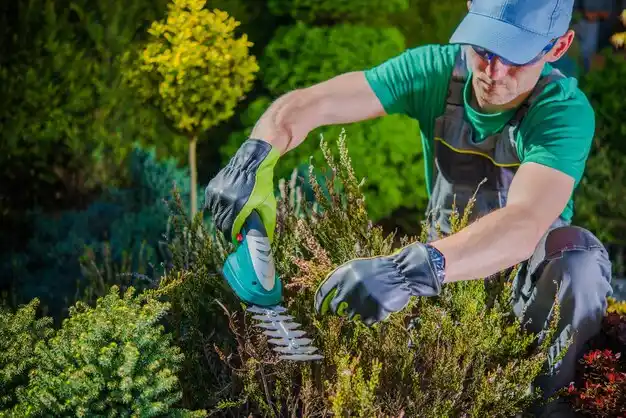 landscaping services Spencerport
